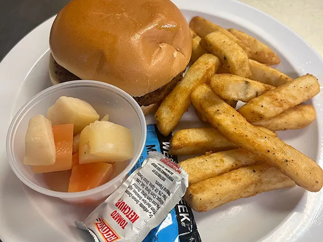 Hamburger w/ French Fries