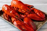Lobster