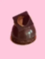 Chocolate Bomb