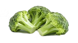 BROCCOLI