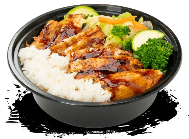 Chicken Breast Teriyaki