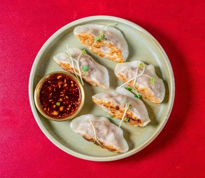 VEGETABLE POTSTICKERS