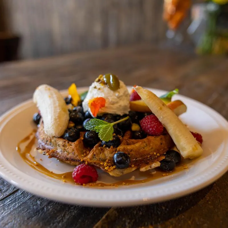 Gluten Free Waffle